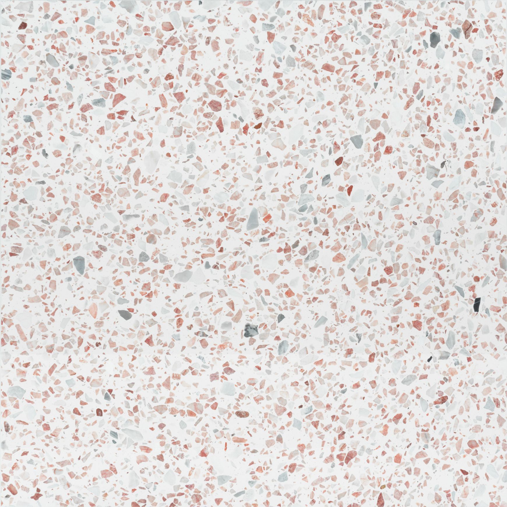 Venice Coral