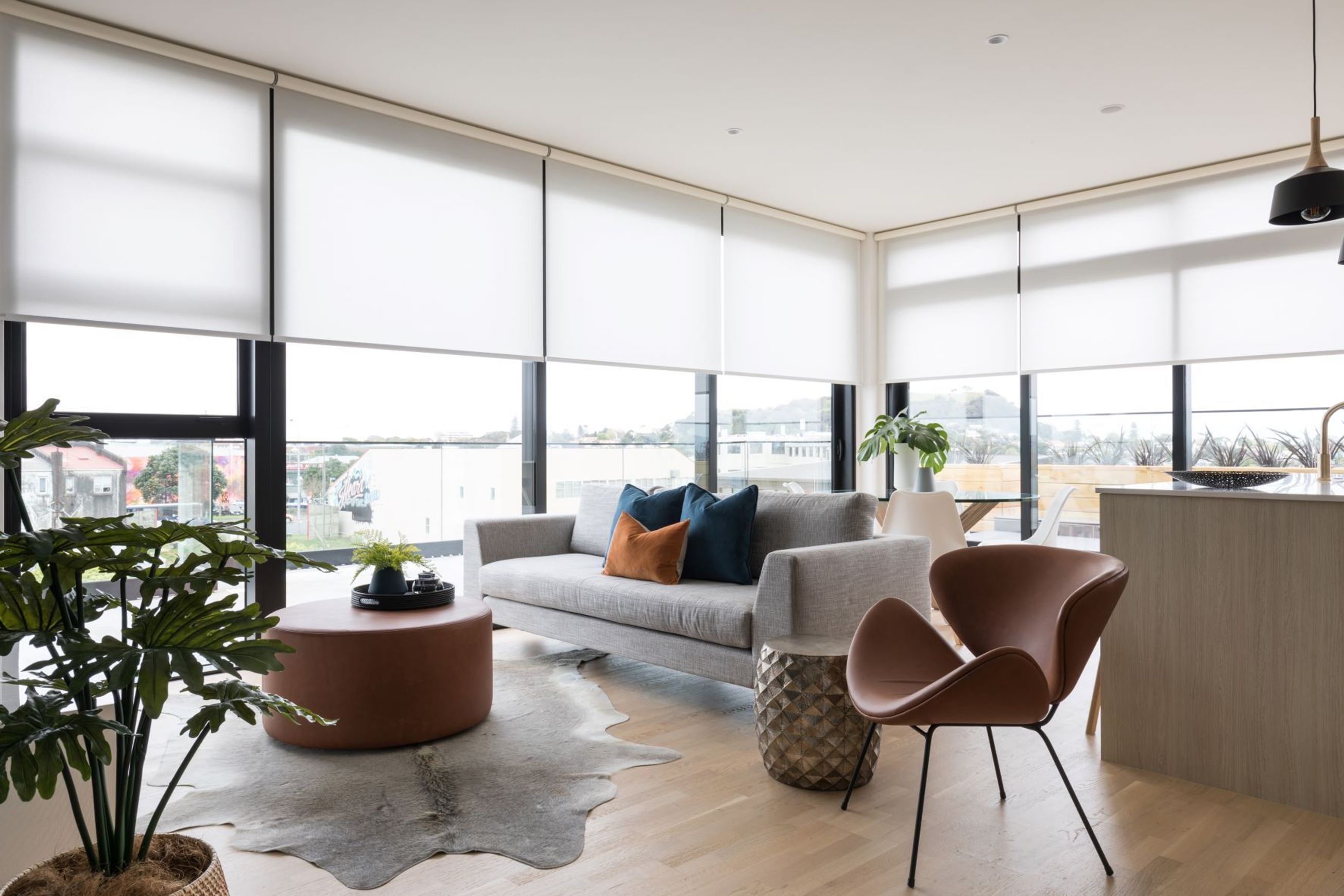 Motorised Blinds