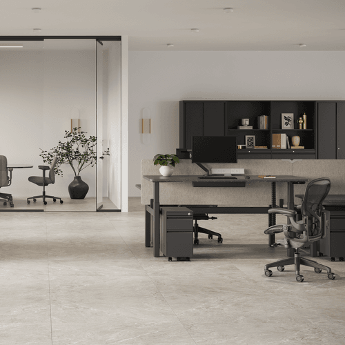 Nevi Sit-to-Stand
