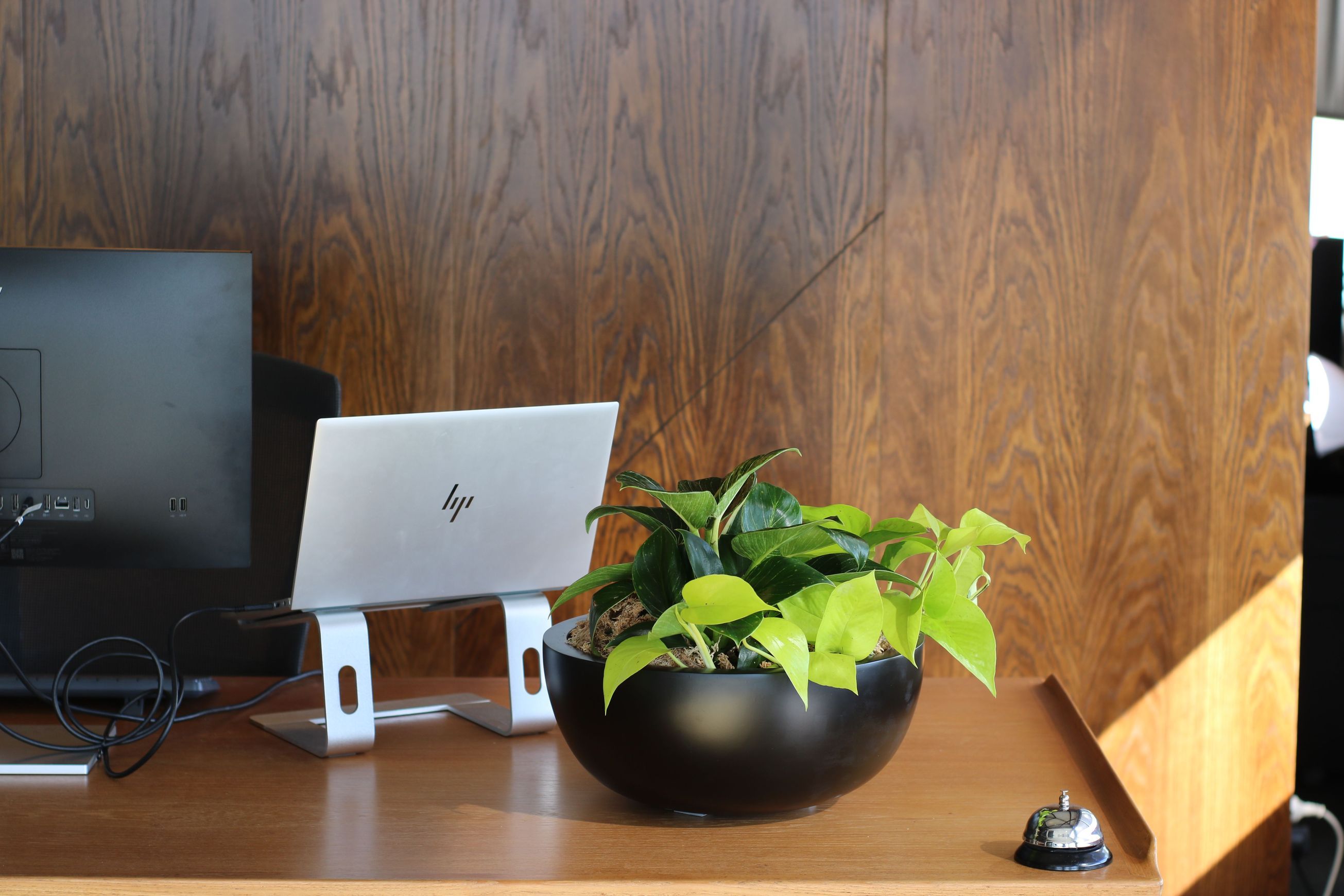 Garden Bowls | Hire Plants