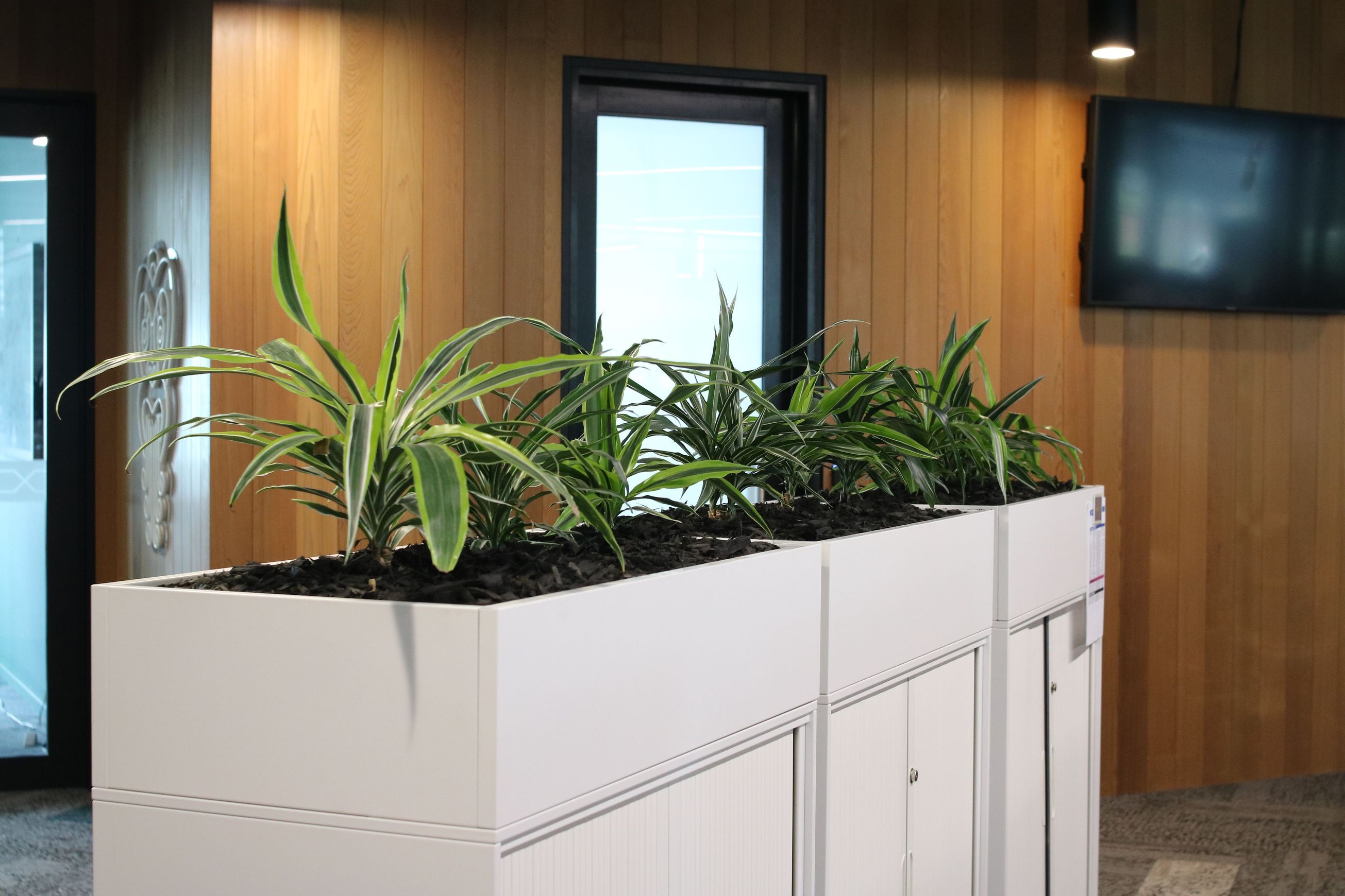Screening Solutions | Hire Plants