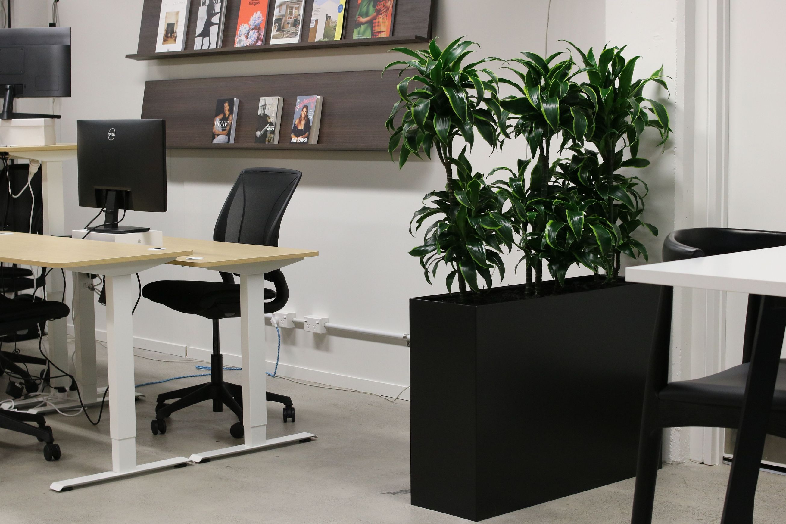 Screening Solutions | Hire Plants