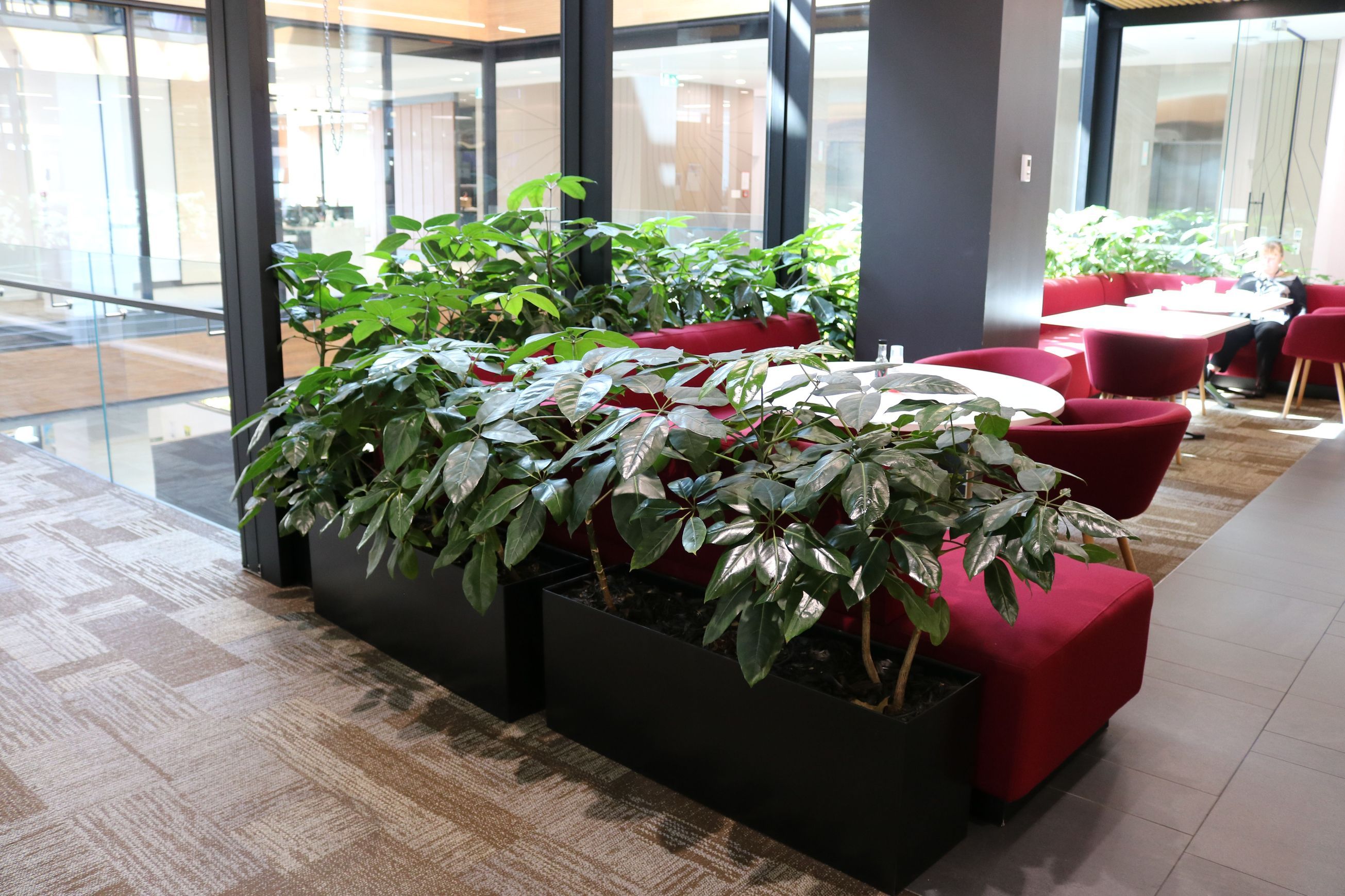 Screening Solutions | Hire Plants