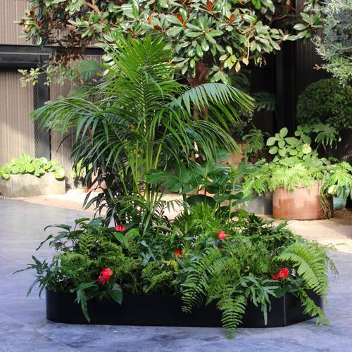 Garden Grove | Hire Plants