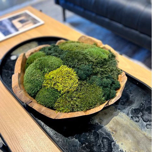 Preserved Moss Table Decor