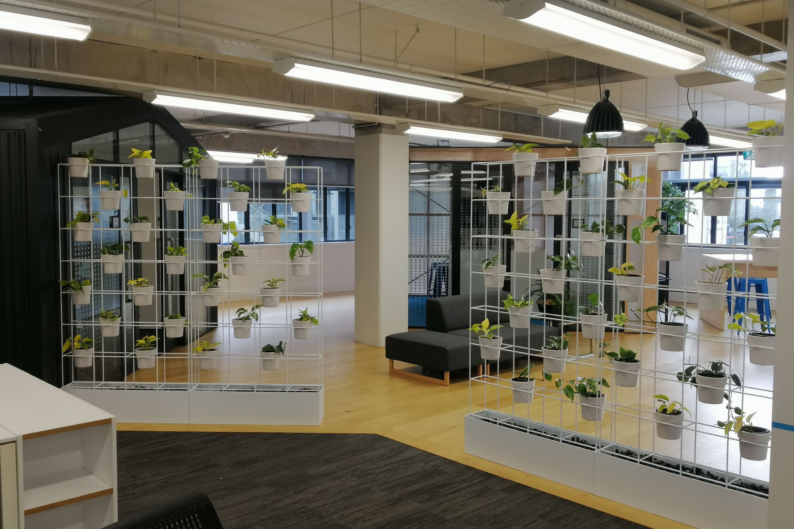 Screening Solutions | Hire Plants