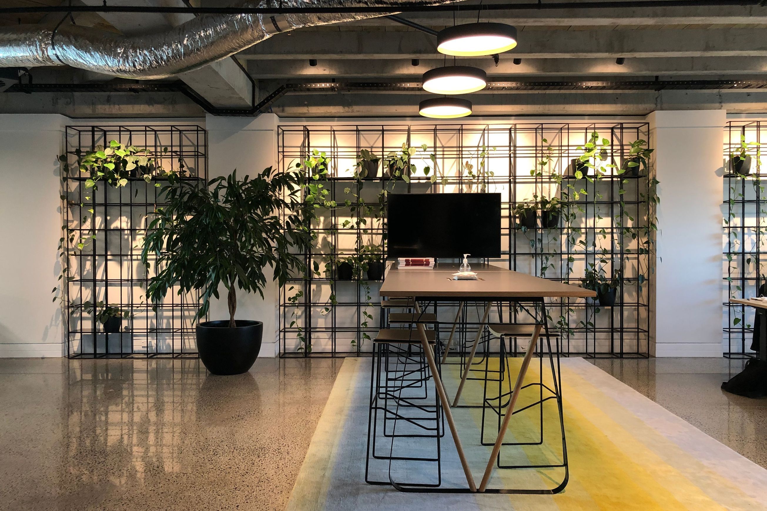 Screening Solutions | Hire Plants