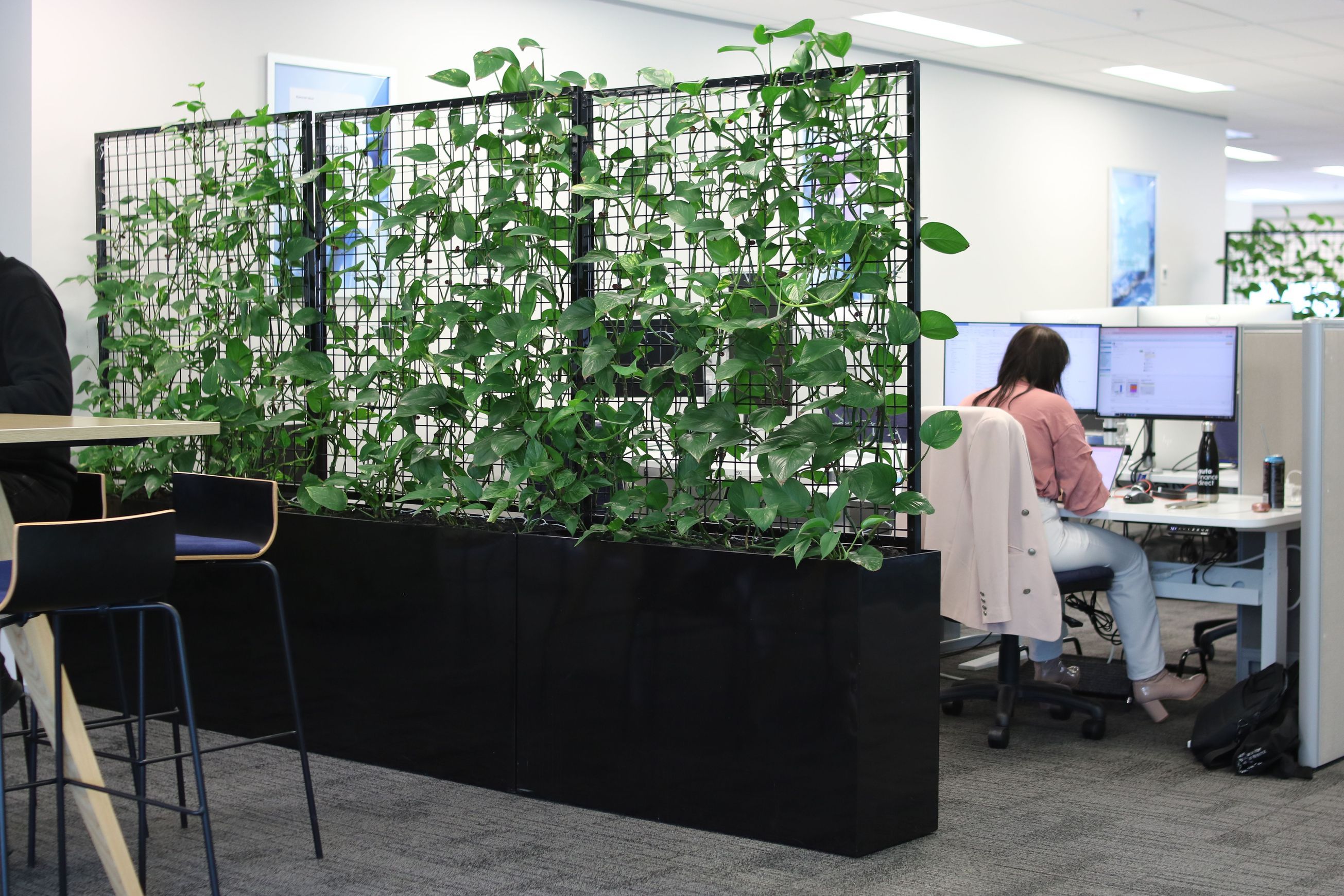 Screening Solutions | Hire Plants
