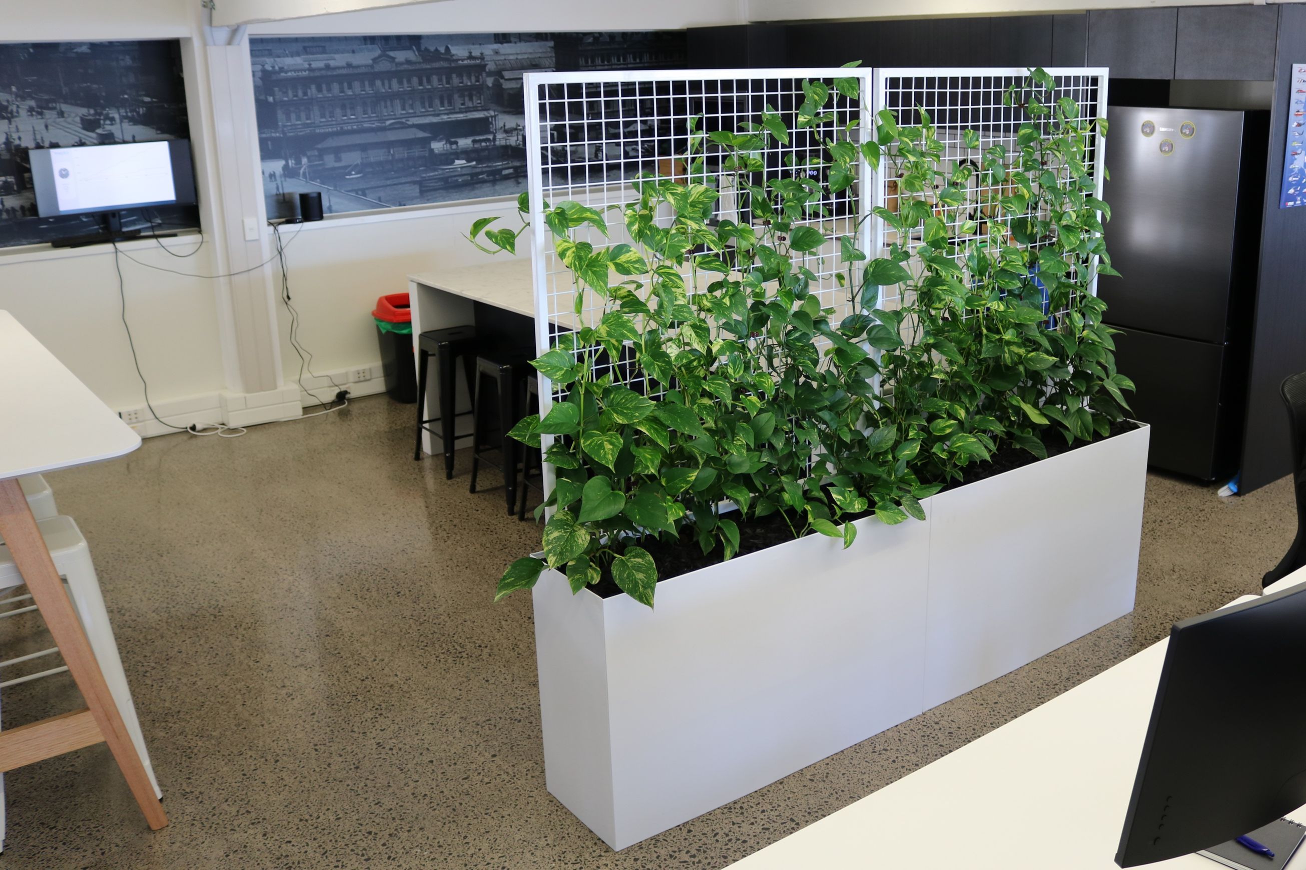 Screening Solutions | Hire Plants