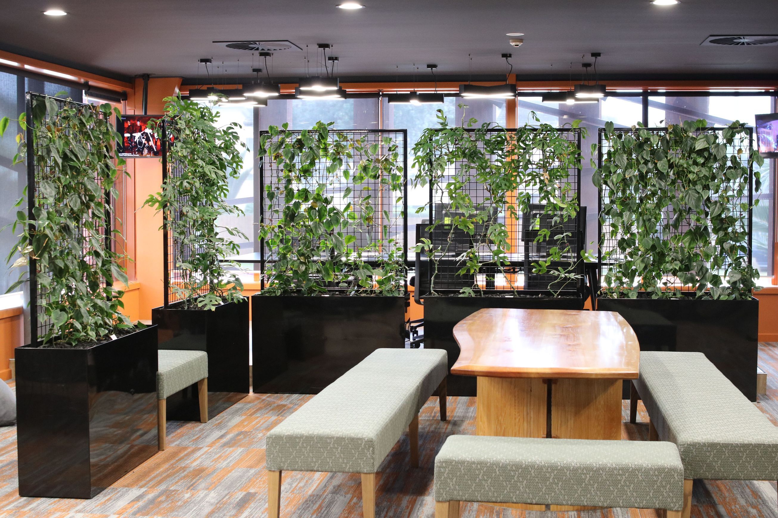 Screening Solutions | Hire Plants