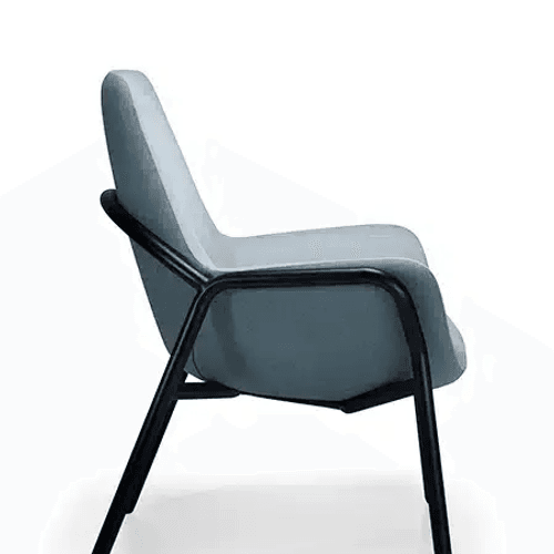 Mobili Bariatric 5