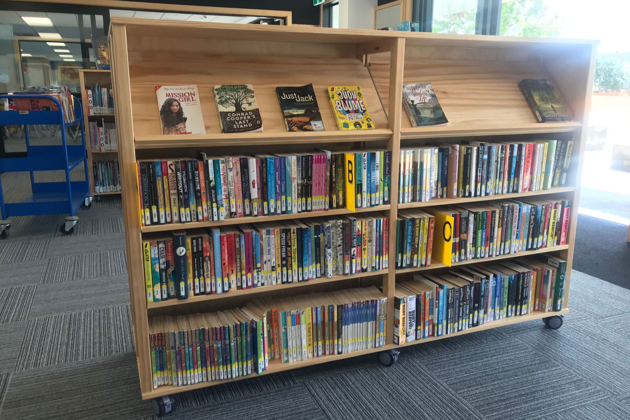 Classic Shelving by Lundia