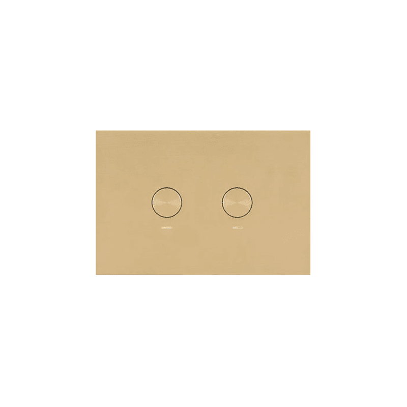 Oli Flush Panel Brushed Brass PVD