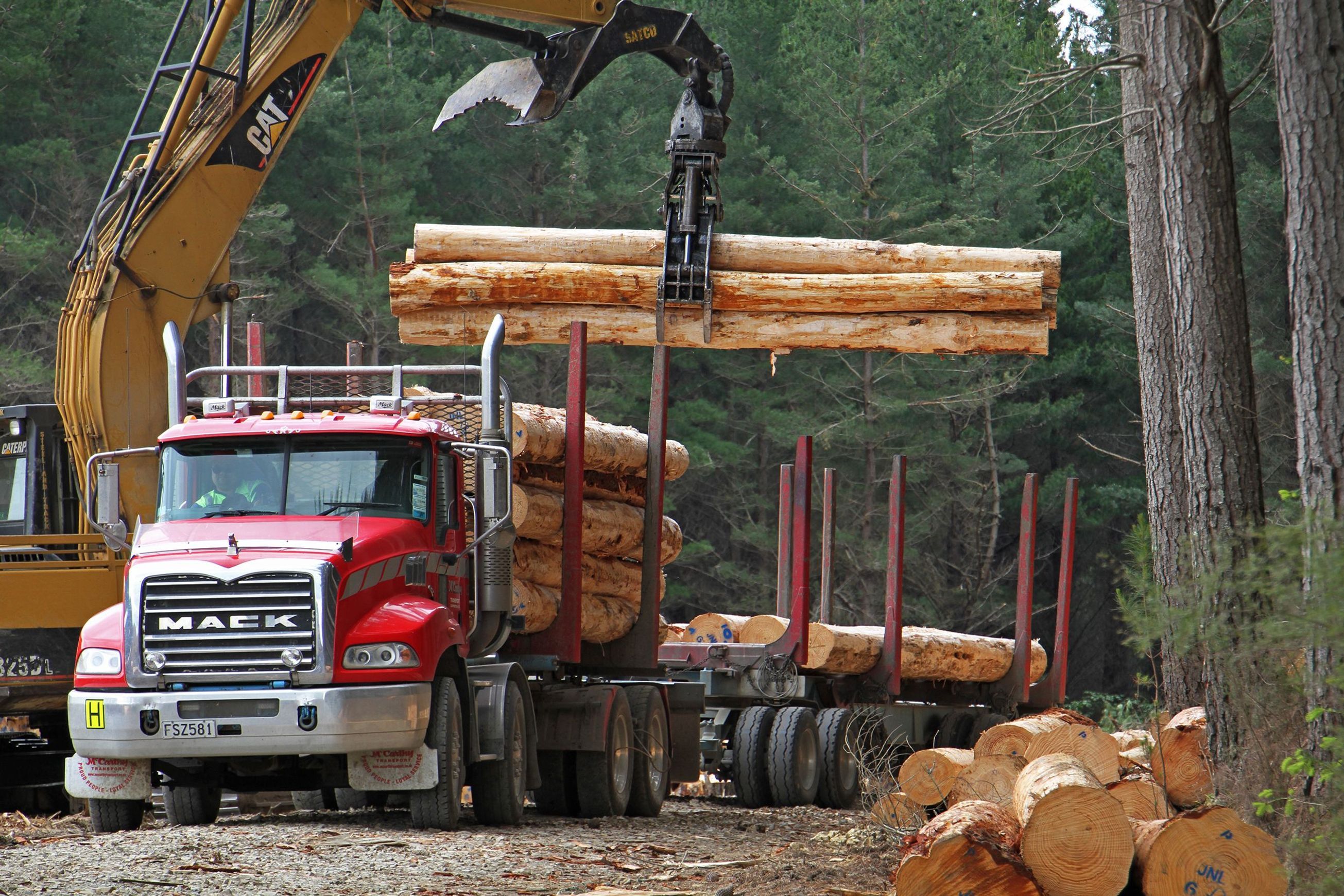 Forestry | Premium Wood Solutions