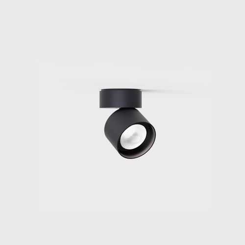 Pro R Ceiling Light