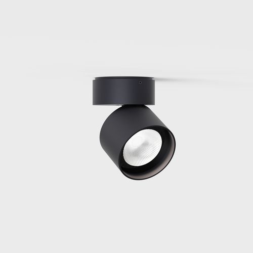 Pro R Ceiling Light
