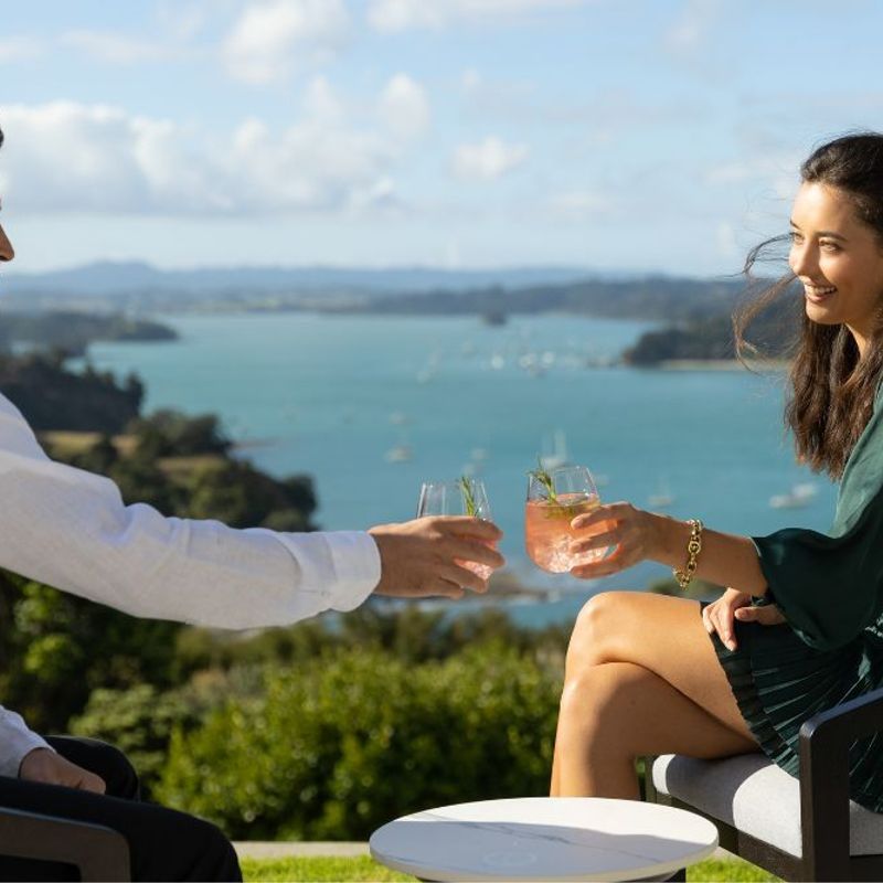 Coronet Dining Chair by Coco Wolf