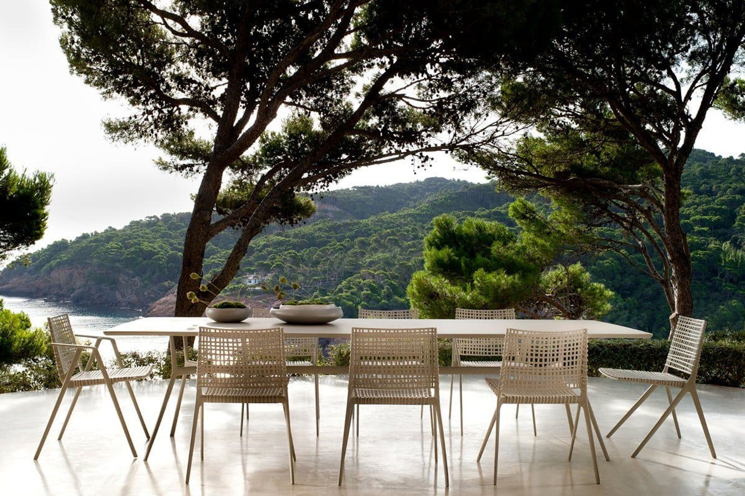 Branch | Side Chair