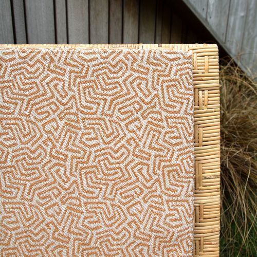 Amaze | Savanna Collection