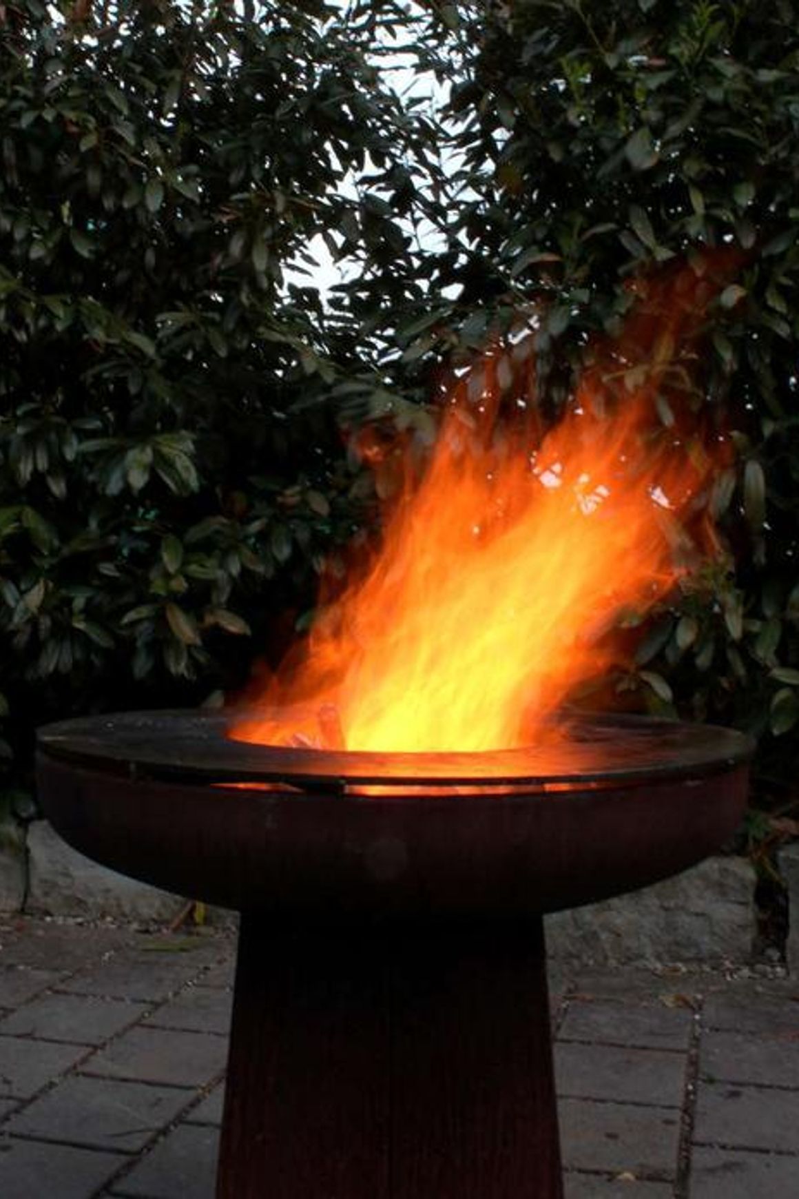 Yagoona Ring Grill BBQ And Goanna Fire Pit 80cm