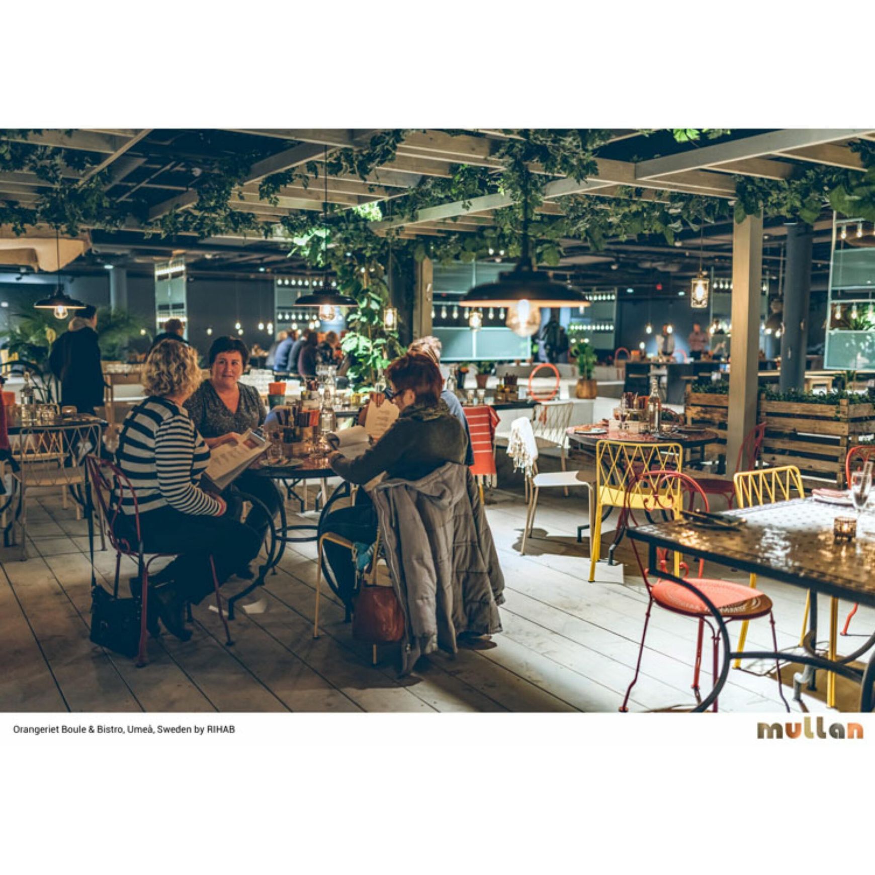 Darya Outdoor Pendant Light