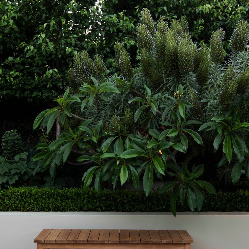 Bilpin Outdoor Bench