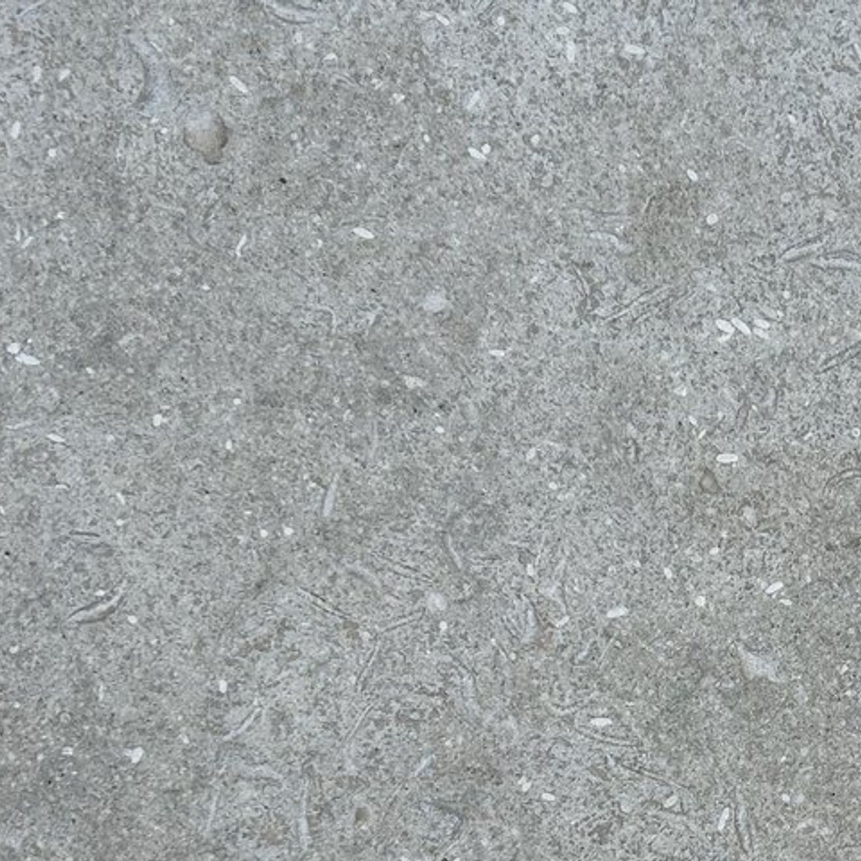 Seagrass Limestone | Paving