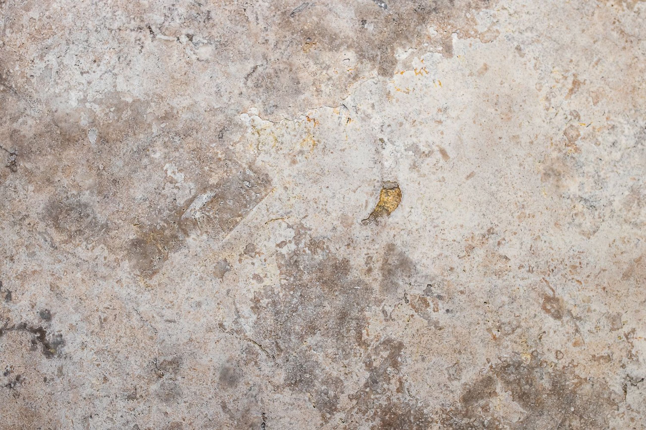 Sparta Silver Travertine Collection | Stone