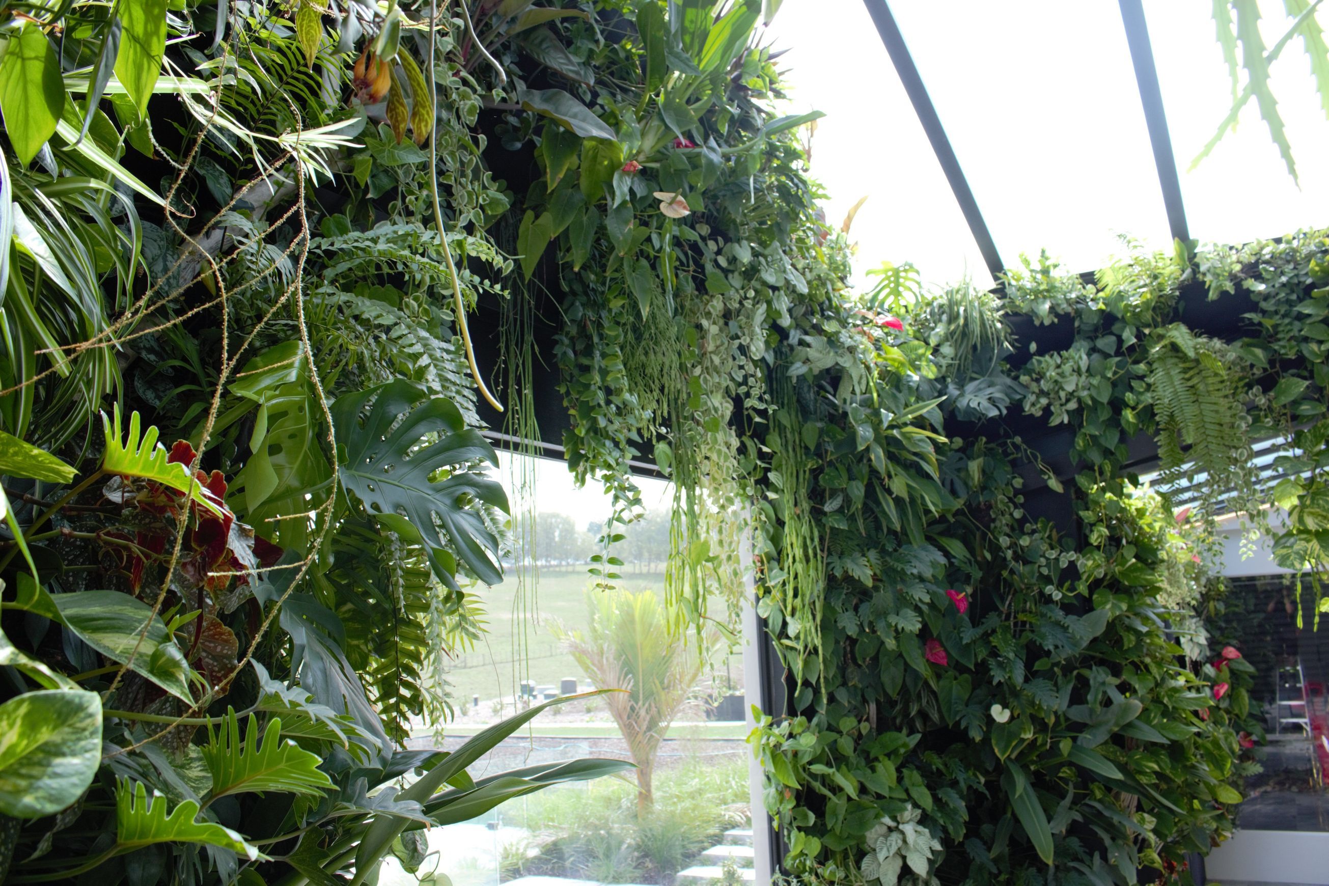 Vertical Green Walls | Hire Plants