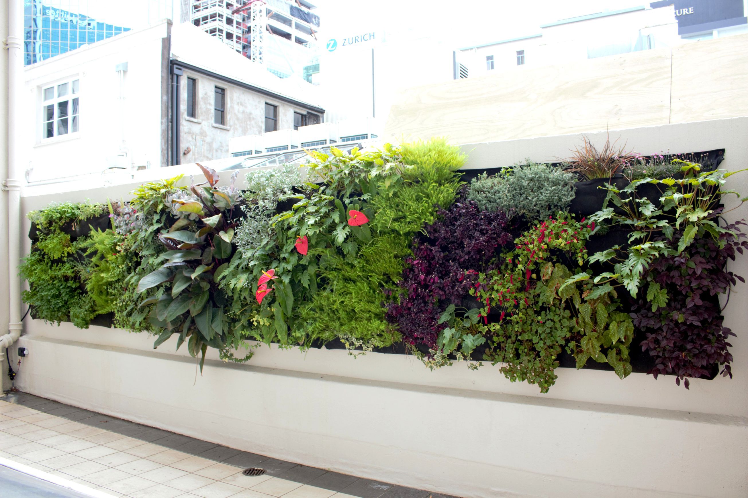 Vertical Green Walls | Hire Plants