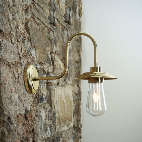 Ren Swan Neck Wall Light
