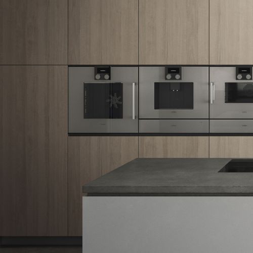 Gaggenau 200 Series LH Oven In Silver W.600 BOP251131