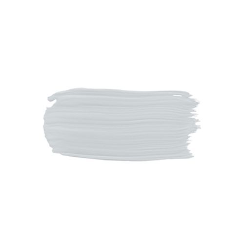 Eggshell Acrylic Paint in Mist