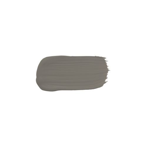 Eggshell Acrylic Paint in Wattleseed