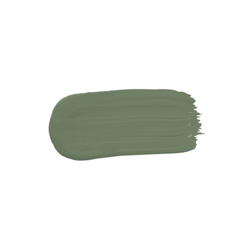 Eggshell Acrylic Paint in Bayleaf