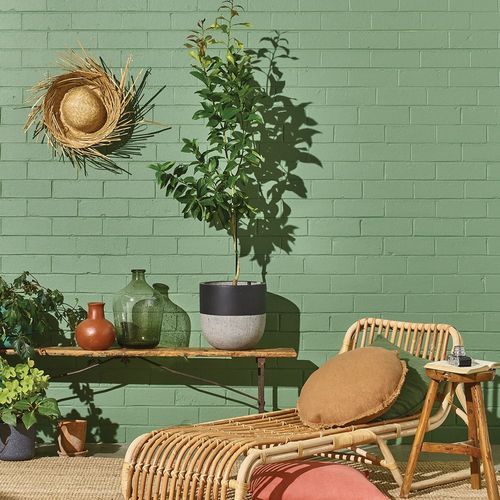 Eggshell Acrylic Paint in Bayleaf