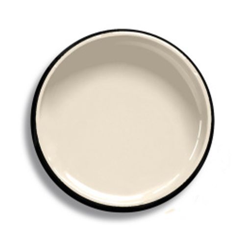 Resene Bleach White