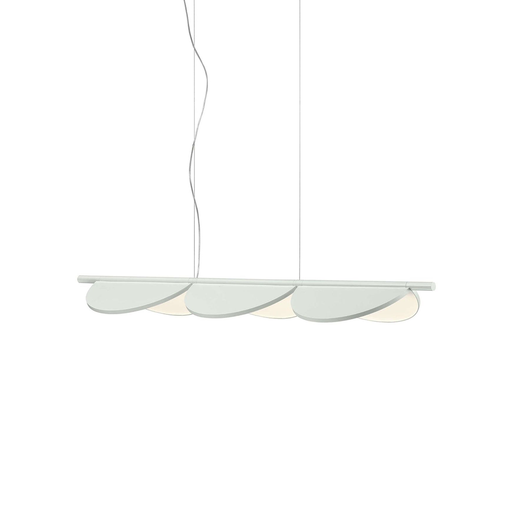 Almendra Linear