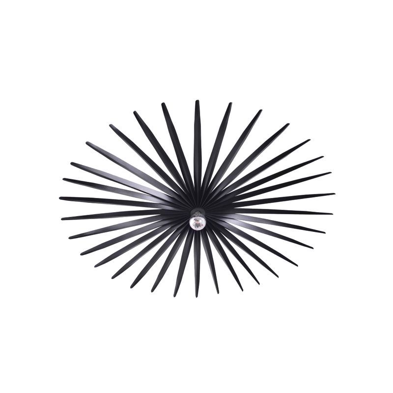 Filifera