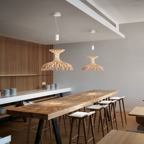Dome 60/02 Pendant Light