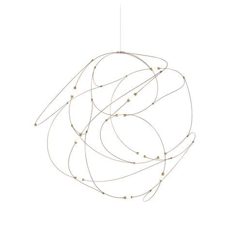 Flock of Light