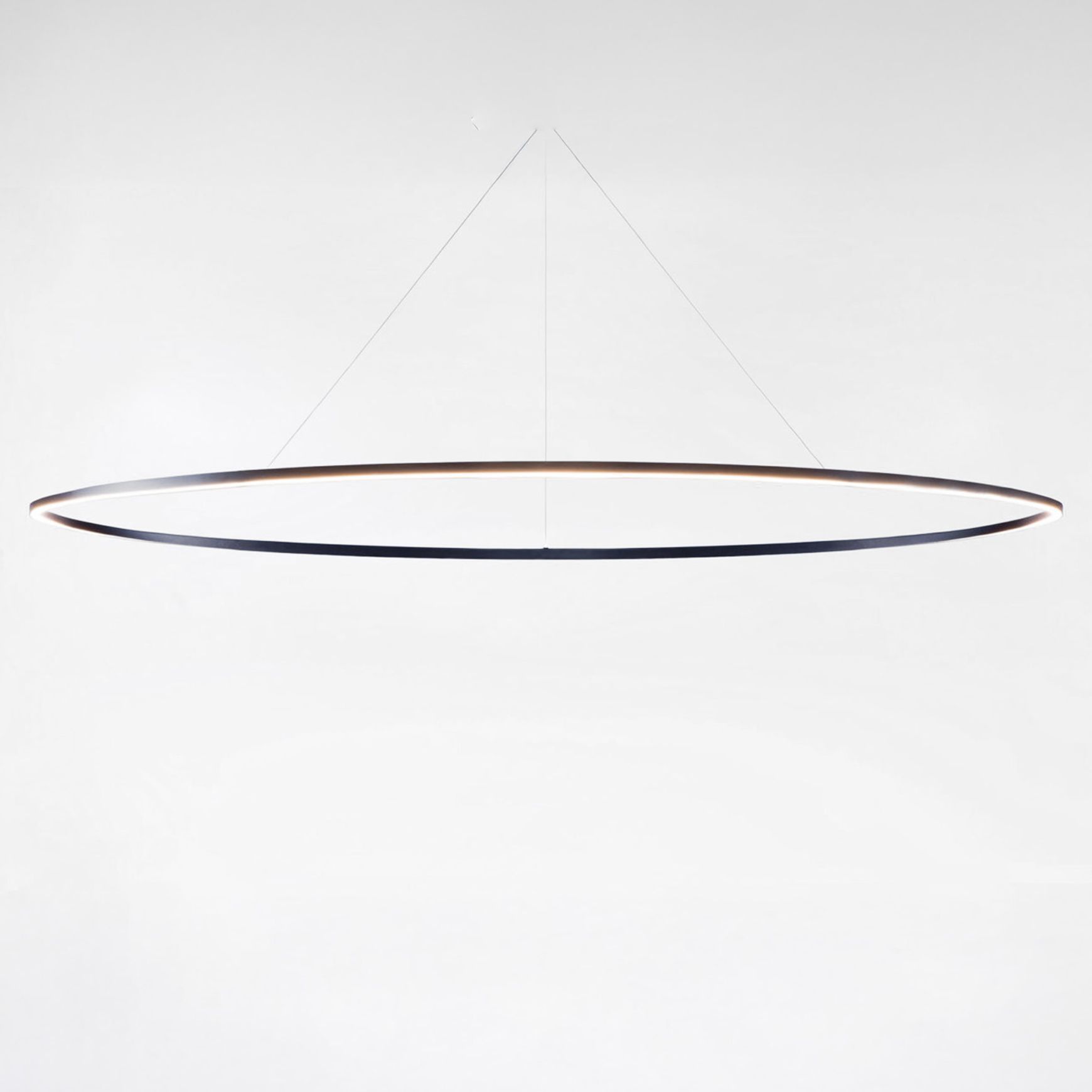 Ellisse Pendant Light