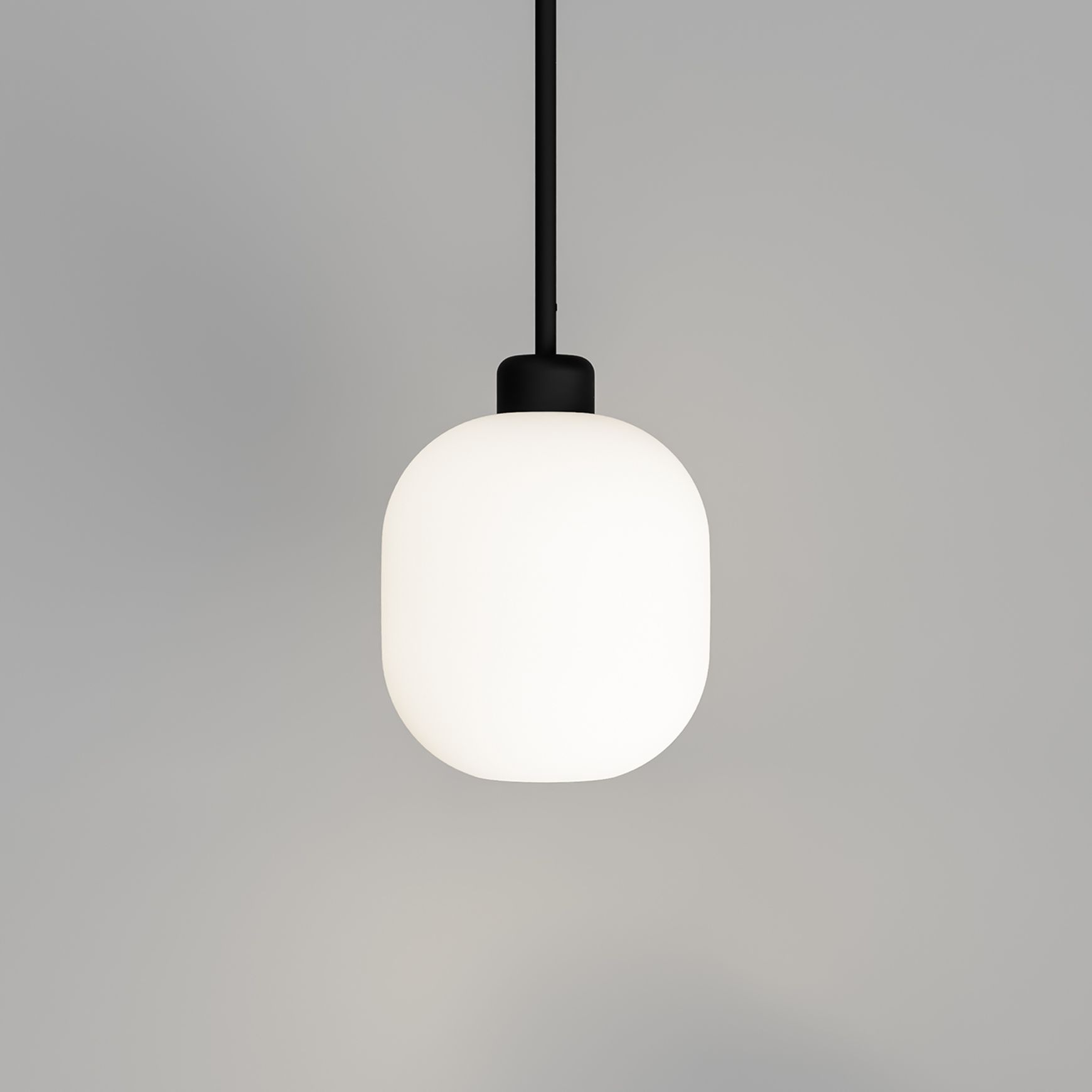 Parlour Lite Curve Pendant Light