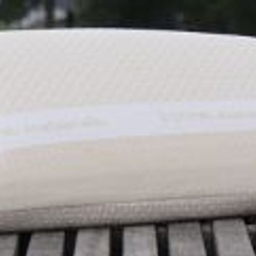 Dorsal Rounded Seed Foam Pillow