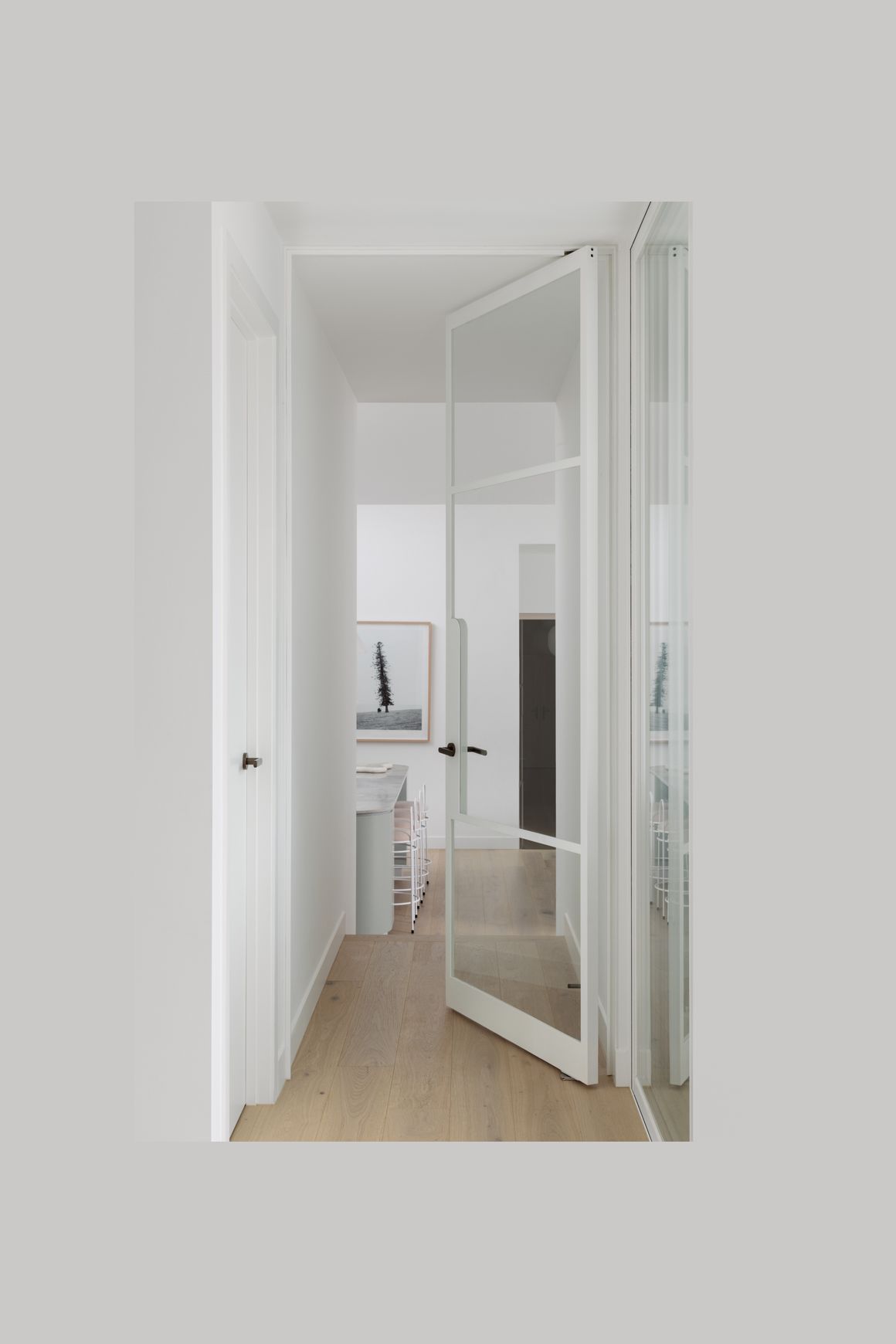 Pivot Steel Doors