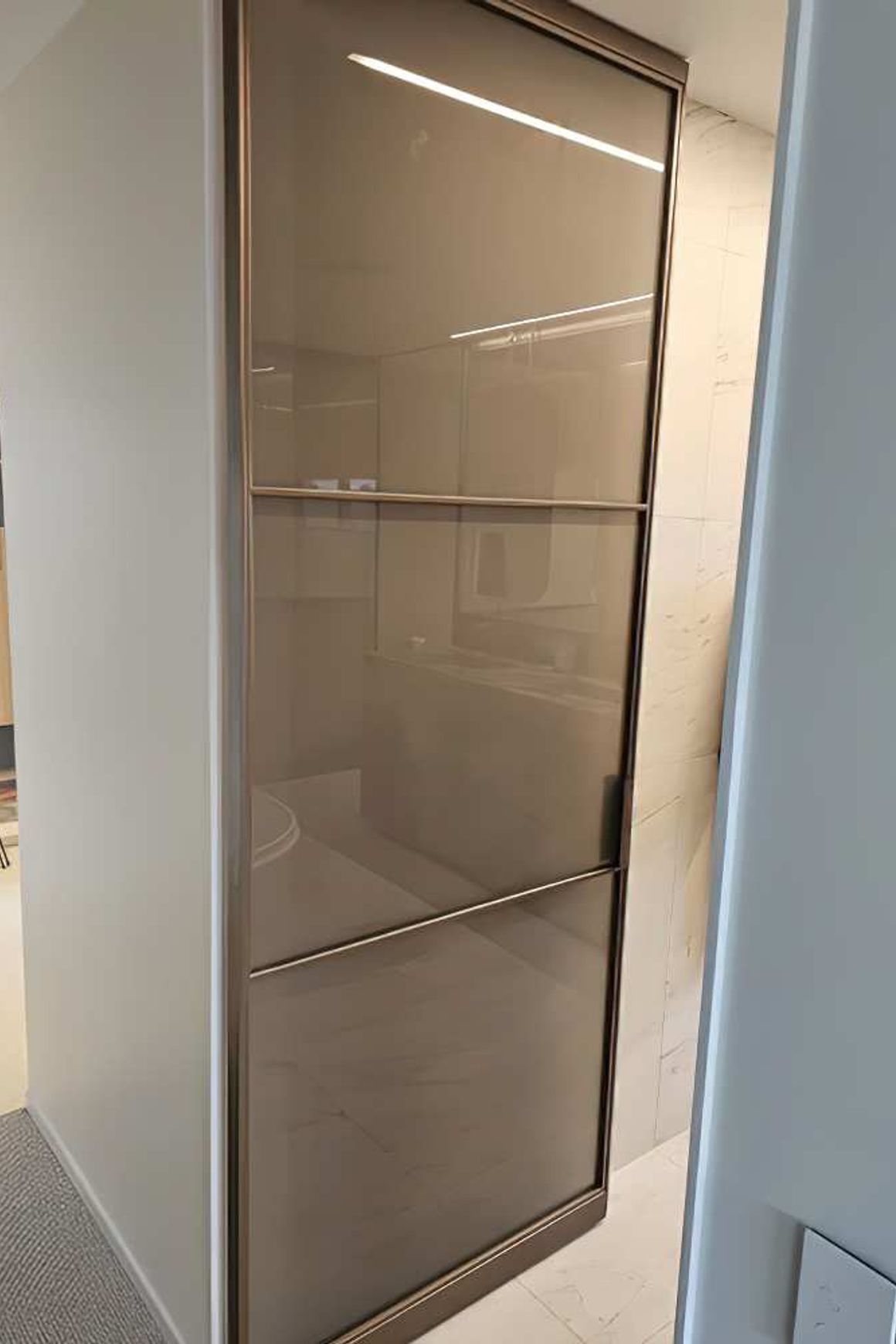 Pivot Steel Doors