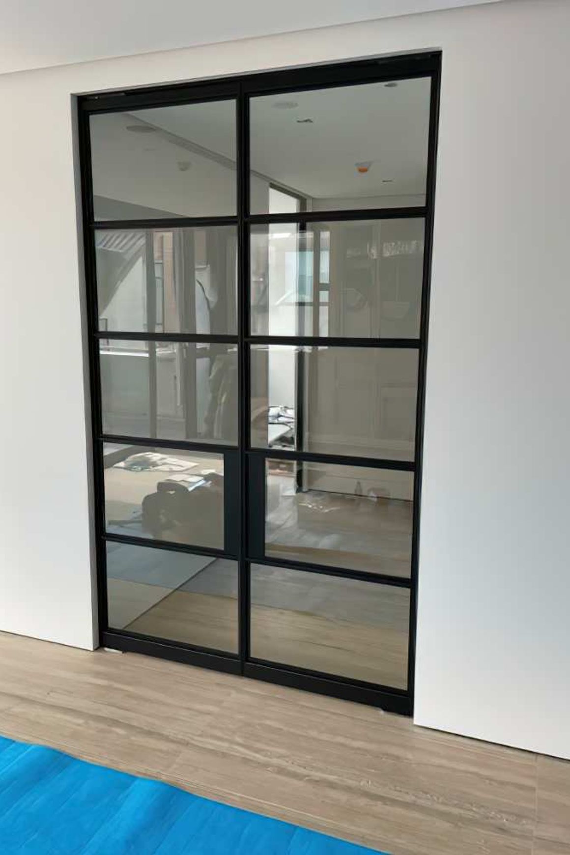 Pivot Steel Doors