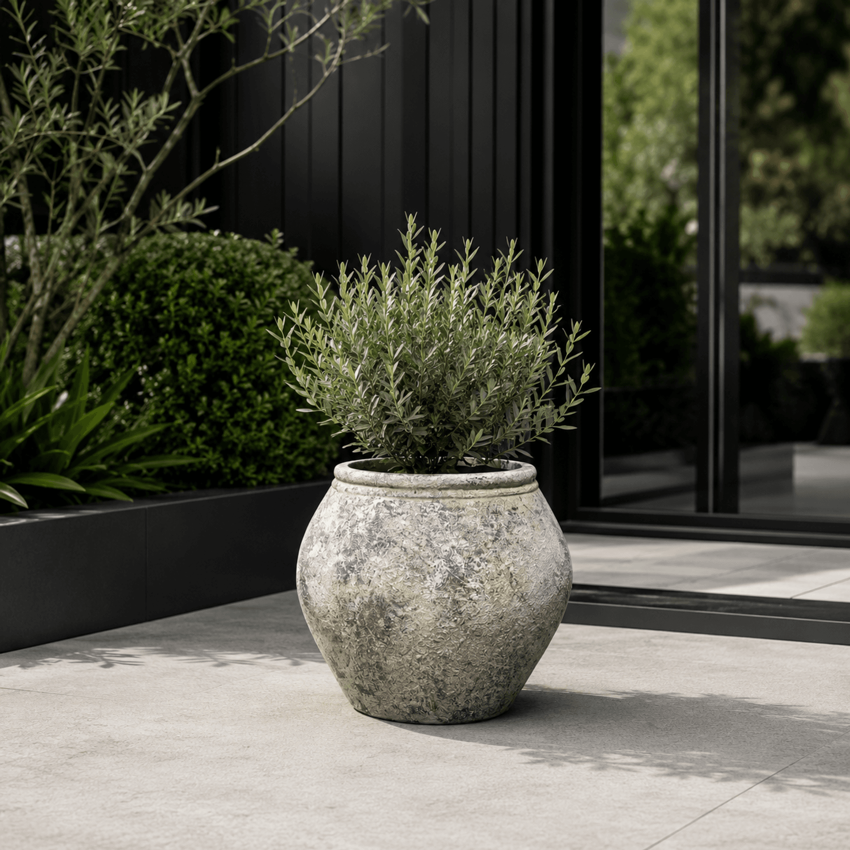 Poise Planter