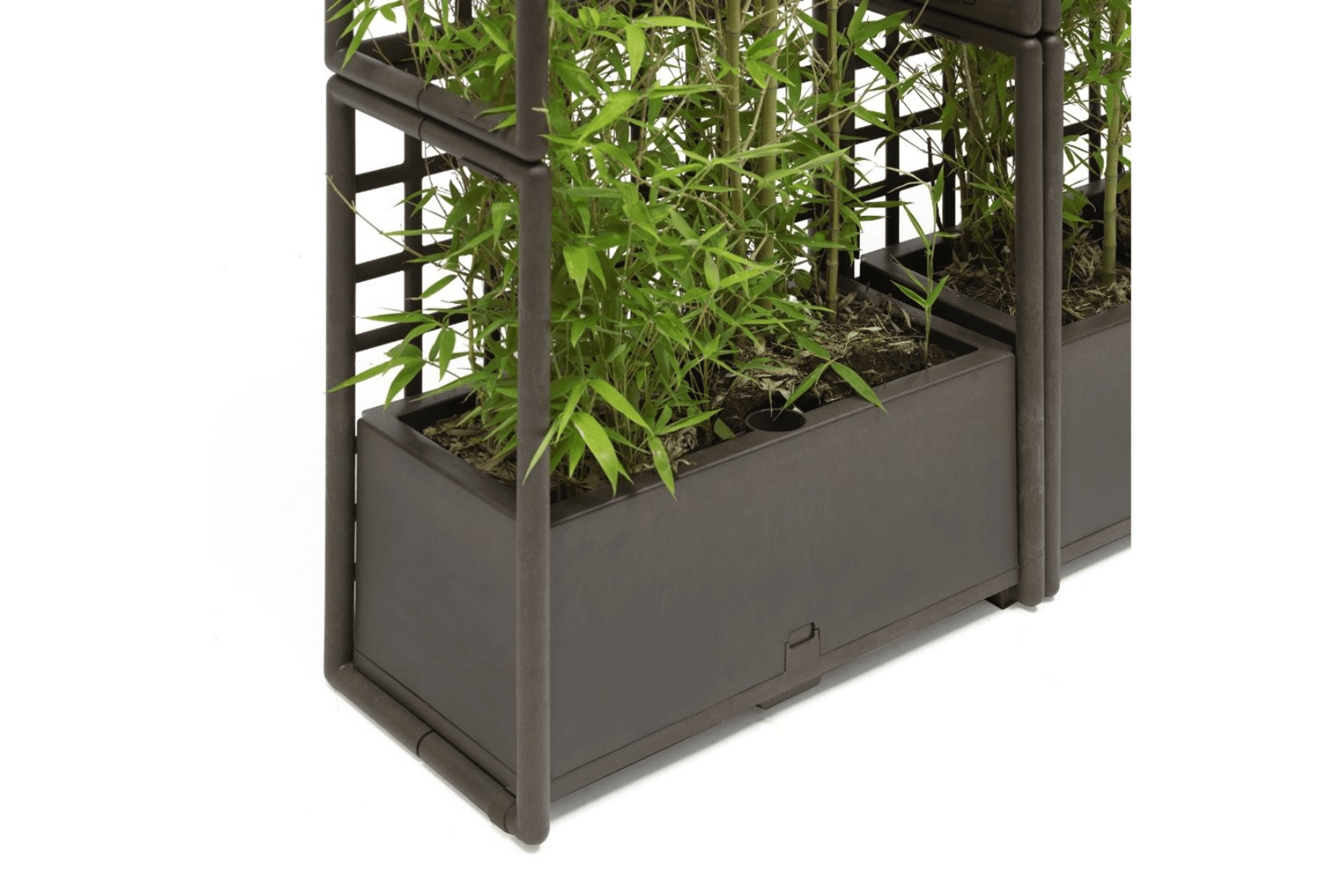 Sipario Eco Wall Planter