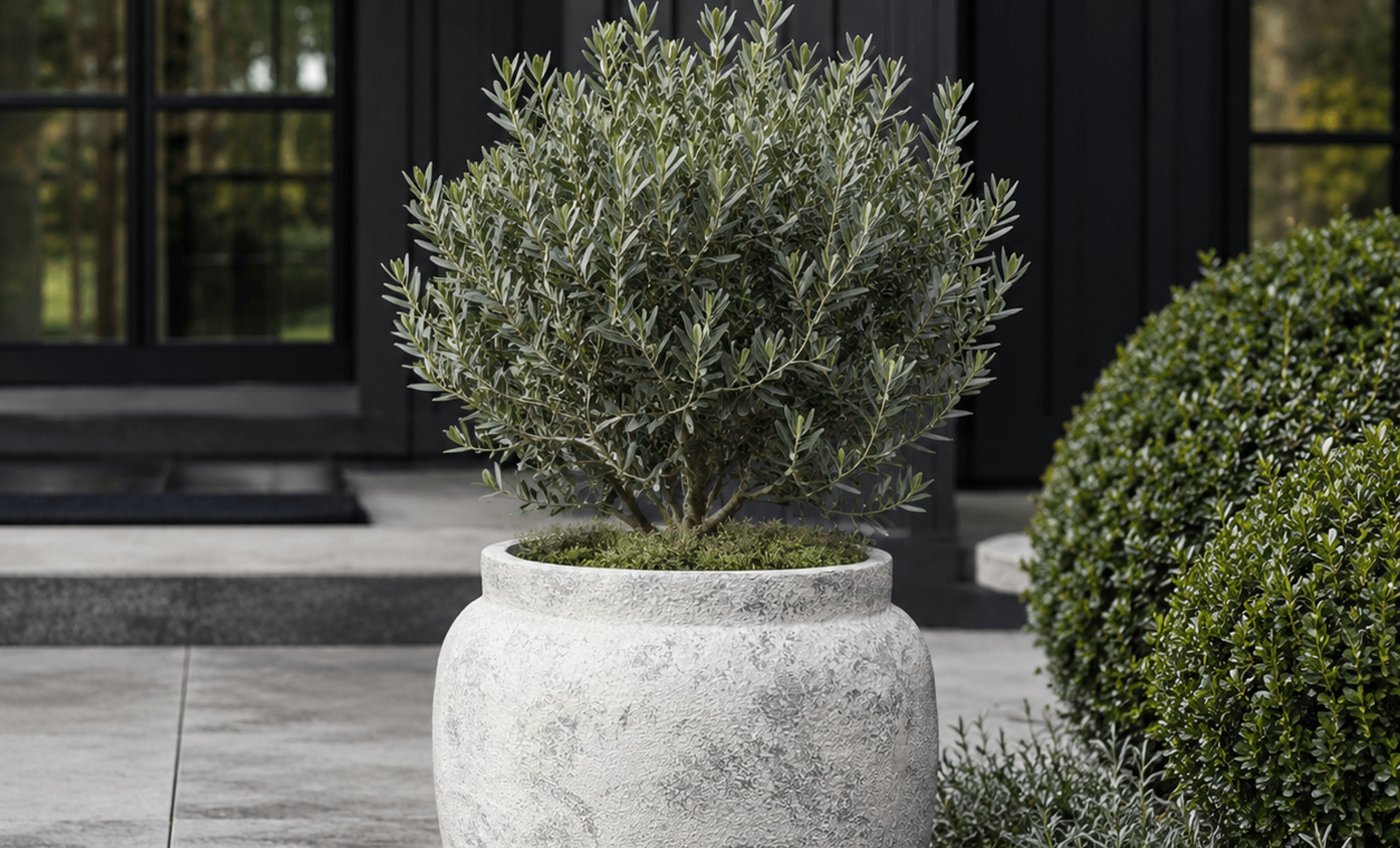 Classic Planter
